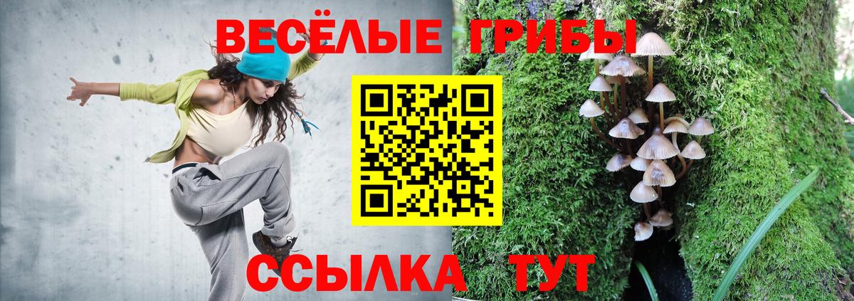 Бутурлиновка  Галлюциногенные грибы Psilocybe  Вход с VPN 